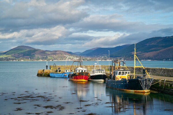 Carlingford harbour, county Louth