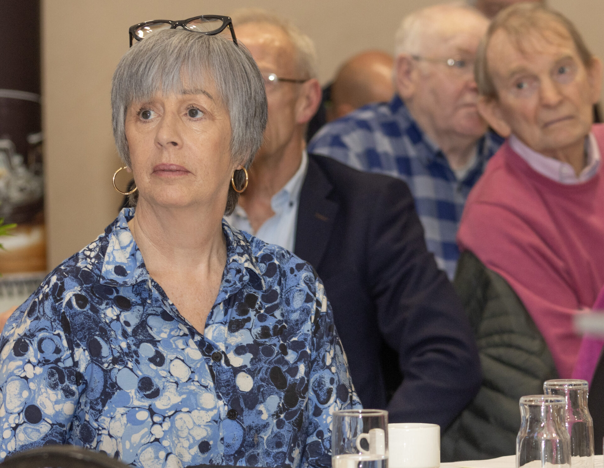 Photo 11 Member of Donegal Older Persons Council at the Annual General Meeting